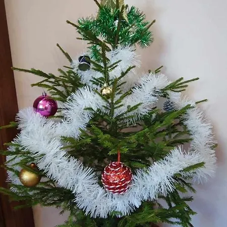 Evrika Forest Appartement *
