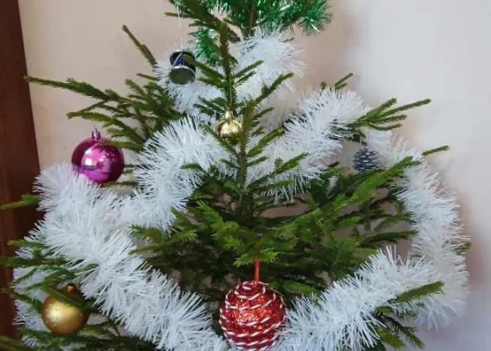 Evrika Forest Appartement *